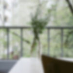 cute wordpress theme for women