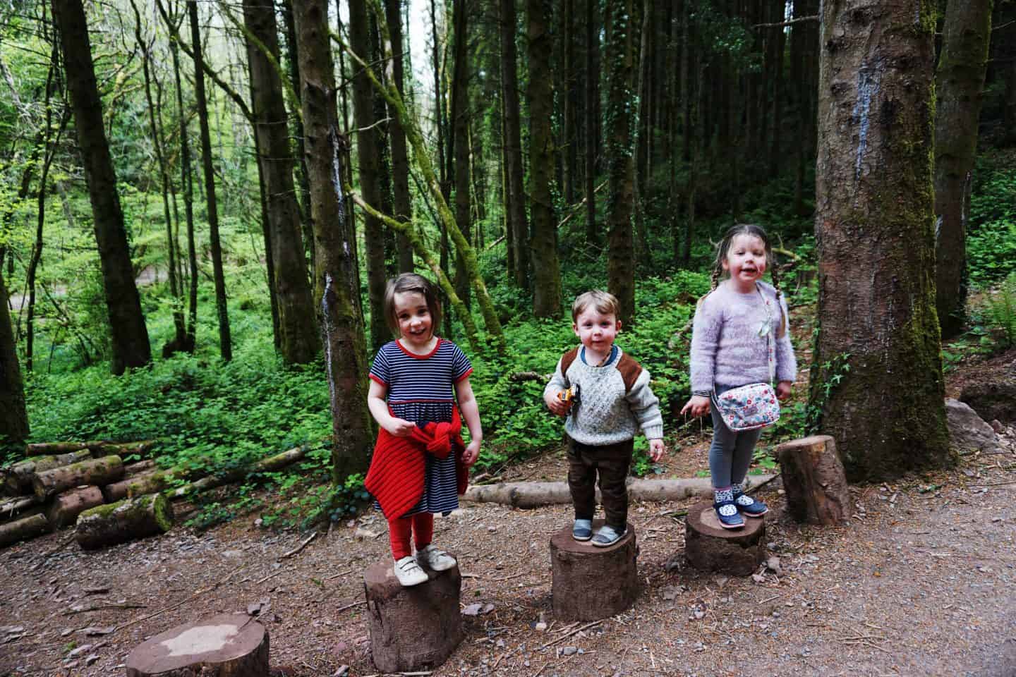 Exploring the woods at bluestone wales