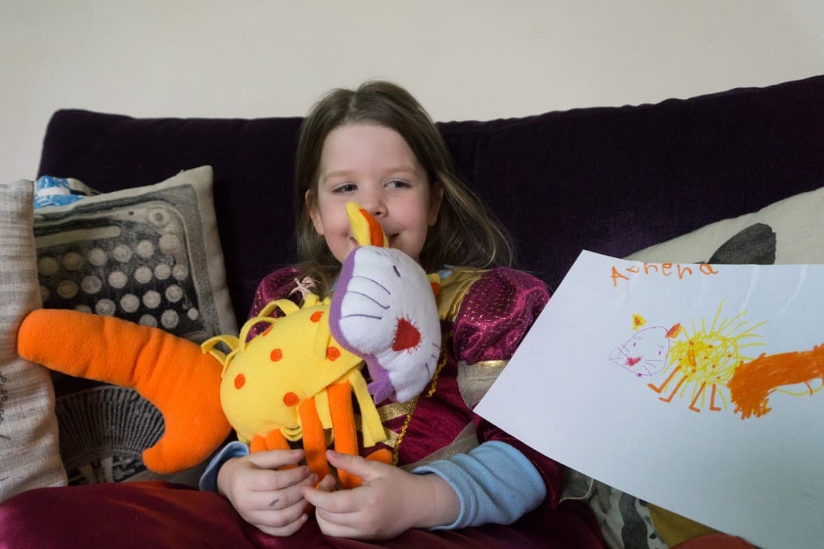 Petplan-imaginary-pet-1