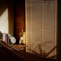 thin blinds with light casting a shadow through them